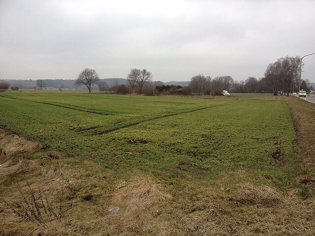 error_file_does_not_exist