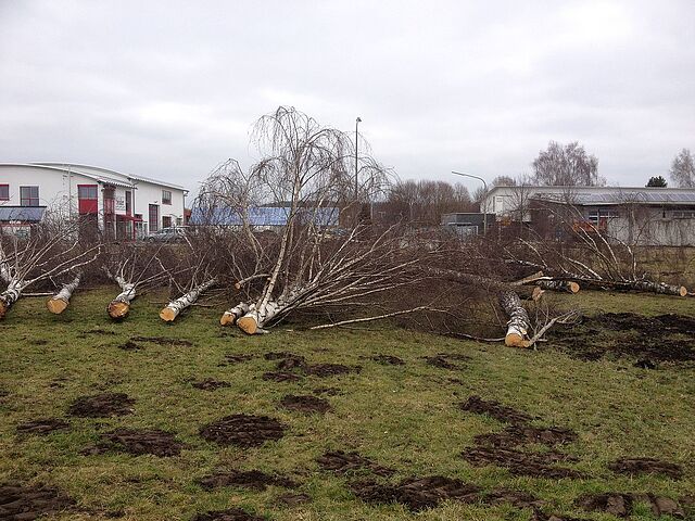 error_file_does_not_exist