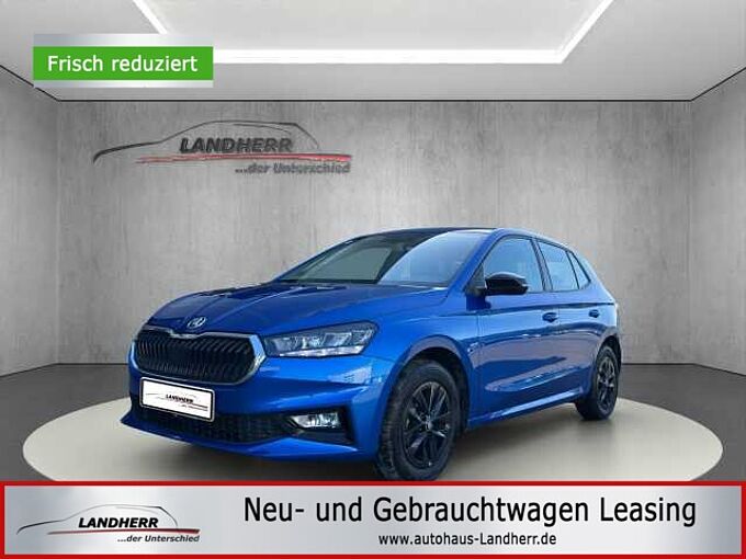 SKODA Fabia 1.0 Young Edition //LED/Sitzheizung /Kamera
