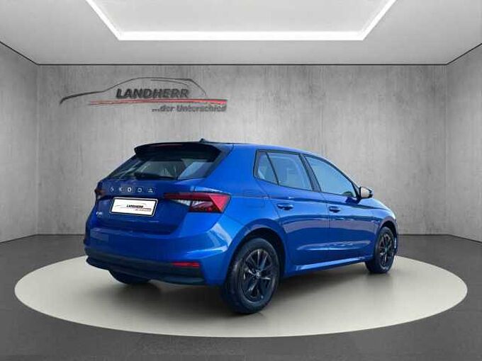 SKODA Fabia 1.0 Young Edition //LED/Sitzheizung /Kamera