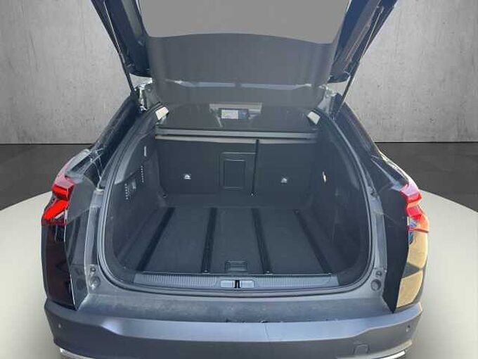 Citroen C5 X  145 Hybrid Plus //Winterpaket/LED /Kamera