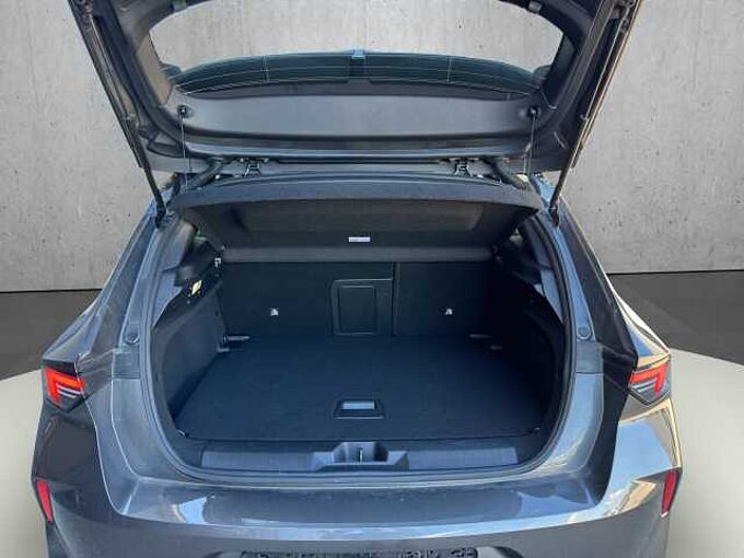 Opel Astra GS Pannodach/Head UP/Teilleder