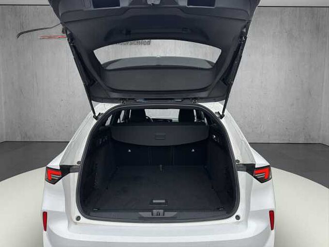 Opel Astra ST  GS  //Winterpaket/LED/ 360&deg;