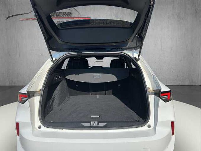 Opel Astra ST GS //Winterpaket/LED/AHK/ 360°/