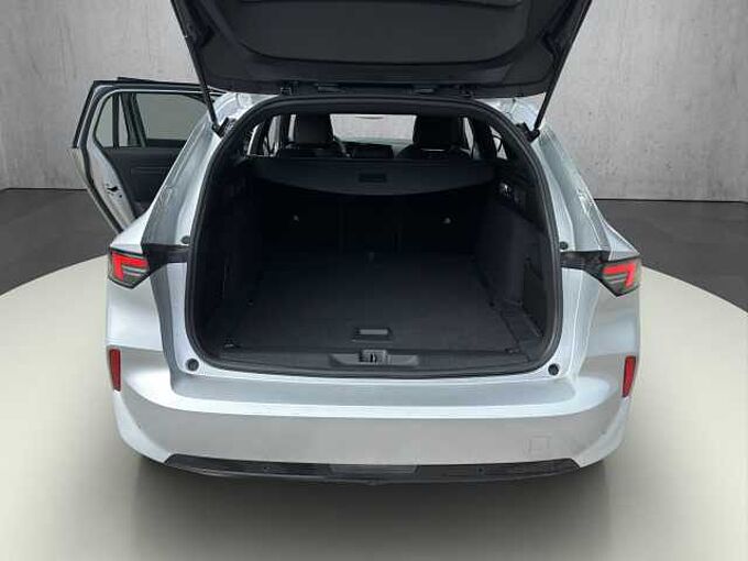 Opel Astra ST 1.2 Turbo GS  //Winterpaket/LED/AHK/ 360&deg;/