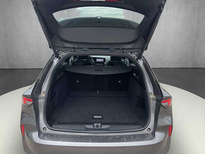 Opel Astra ST 1.2 Turbo GS //Winterpaket/LED/ 360°/Pano