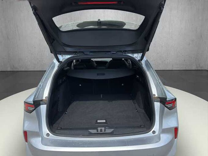 Opel Astra ST  GS  //Winterpaket/LED/AHK/Pano/ 360&deg;/