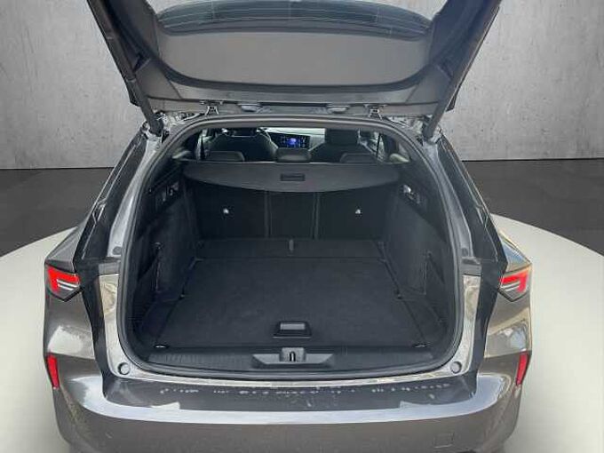 Opel Astra ST 1.2 Turbo GS //Winterpaket/LED/ 360°/Pano